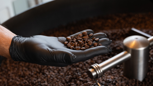 Roast Levels Explained: Light, Medium & Dark Coffee